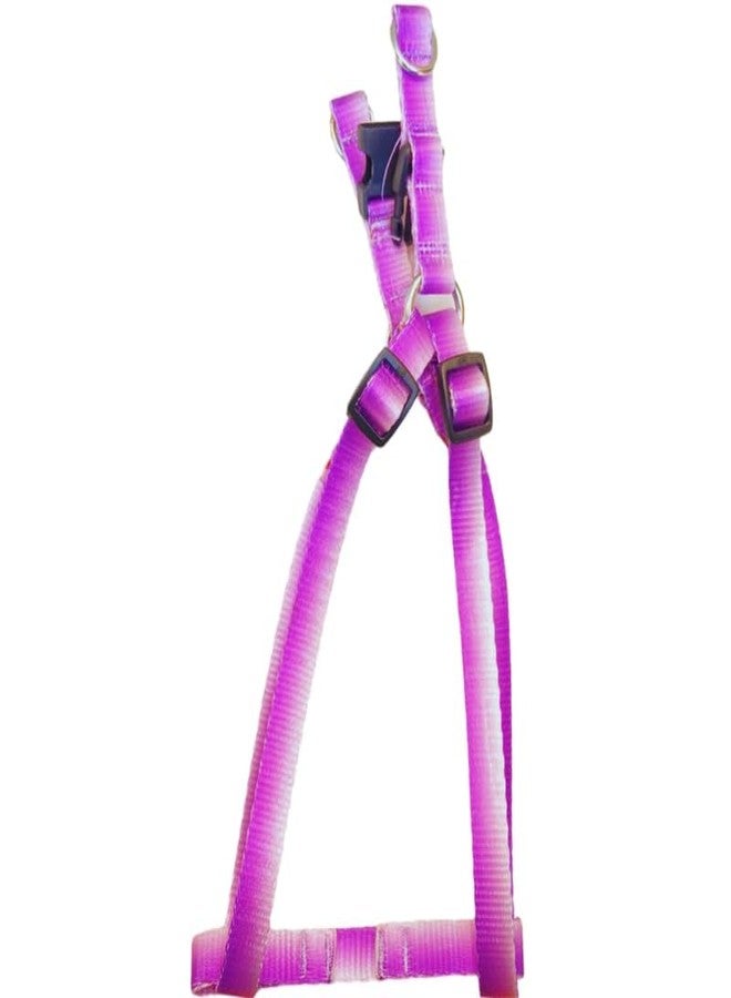 KittuPet طقم حزام ومقود قابل للتعديل من KittuPet Ombre Colorblock للكلاب الصغيرة والمتوسطة الحجم للتدريب الخارجي والجري باللونين الأبيض والبنفسجي (15 مم) - Image 2